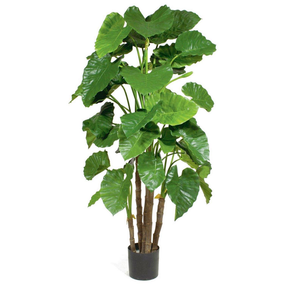 ALOCASIA CALIDORA Artificial Tree Plant