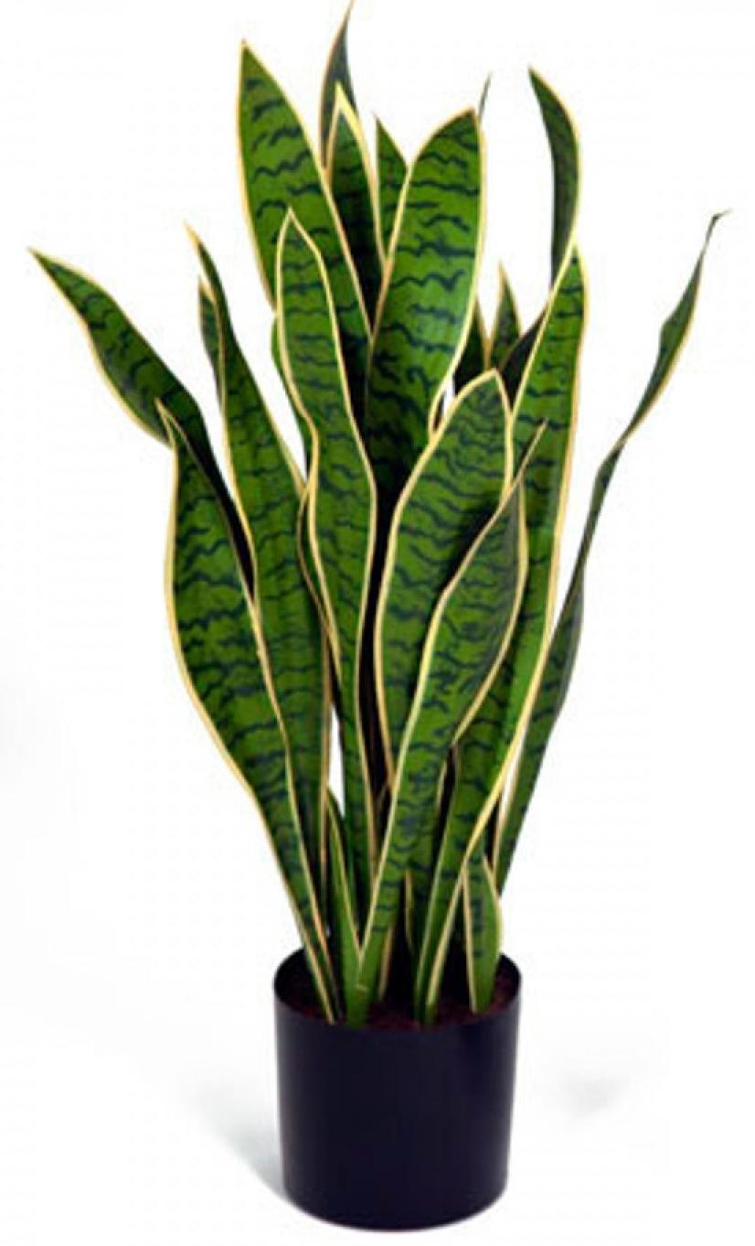 Sansevieria Yellow-Green Artificial Bush Plant