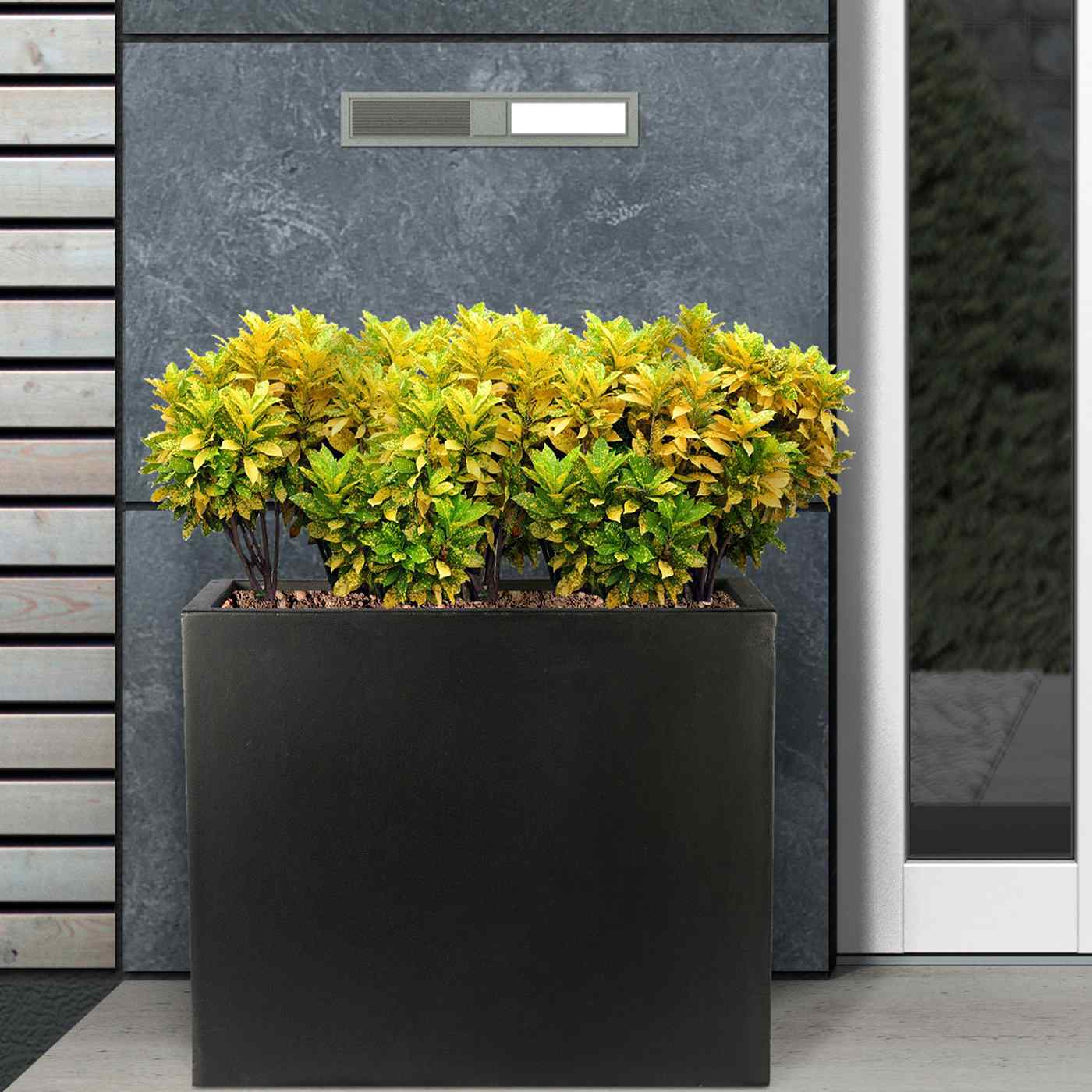 IDEALIST Lite Contemporary Light Concrete Trough Planter