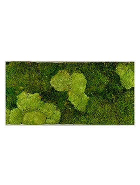Moss Painting Superline L Rectangle