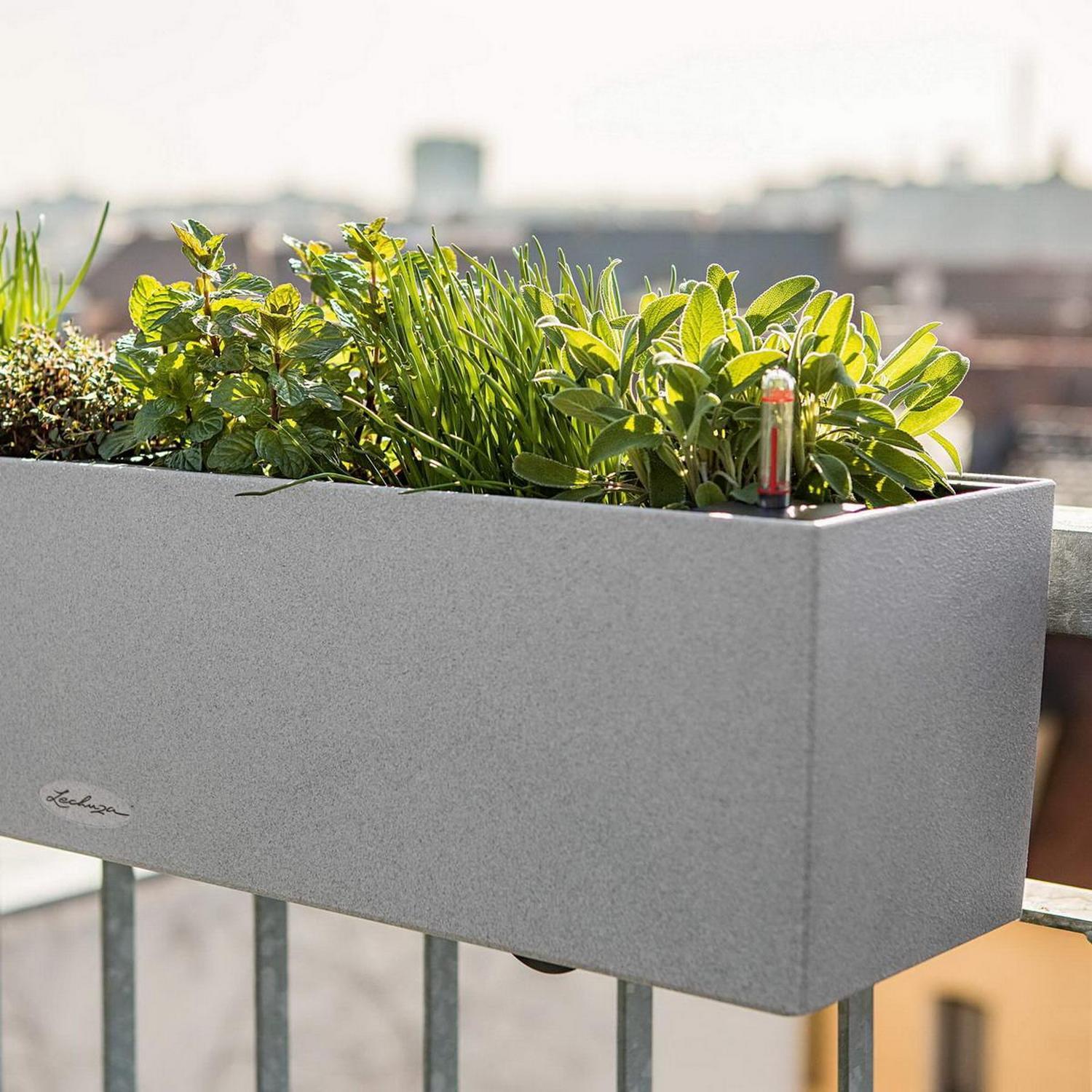 LECHUZA BALCONERA Stone Trough Poly Resin Self-watering Planter Set