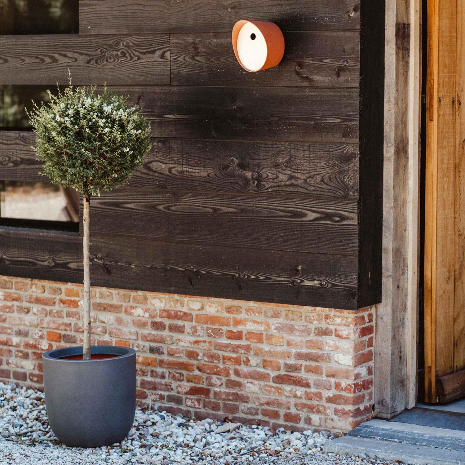 Tall Resin Planter by Cadix Capi Tutch Round