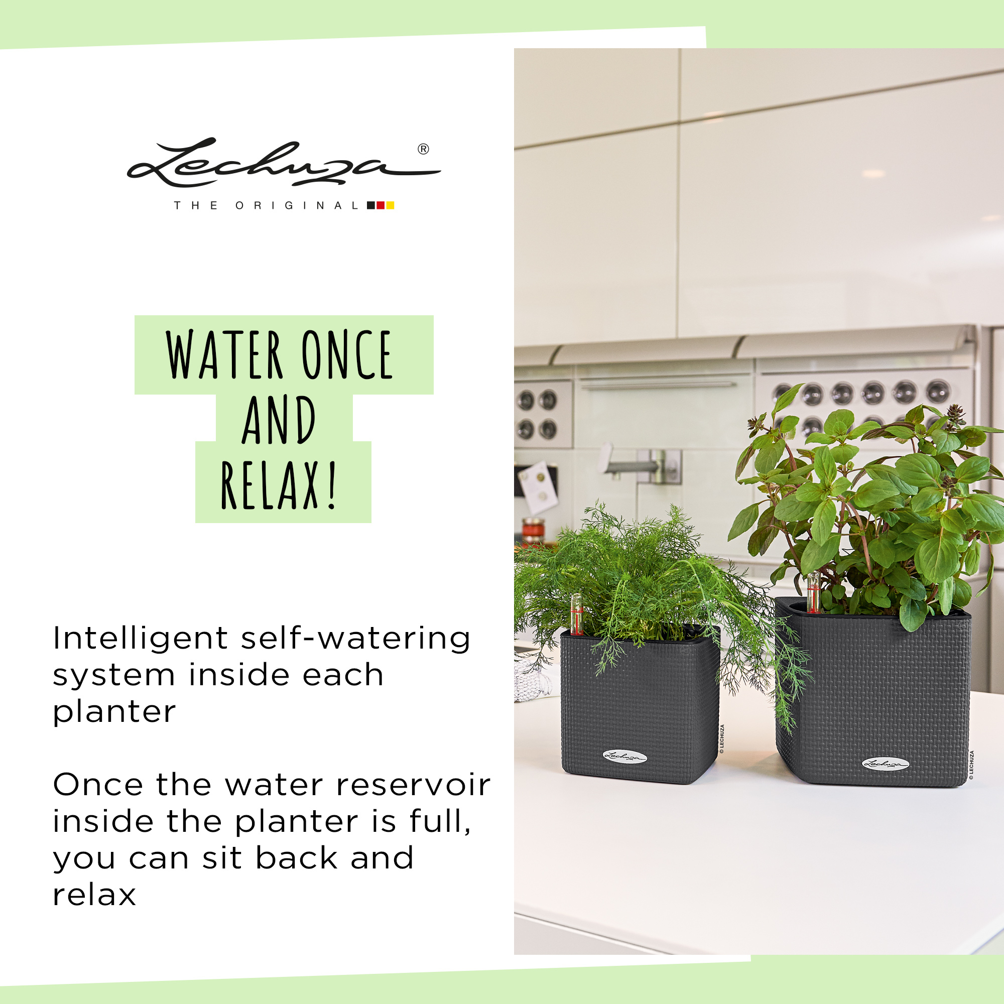 LECHUZA CUBE Color Square Poly Resin Indoor Self-watering Planter