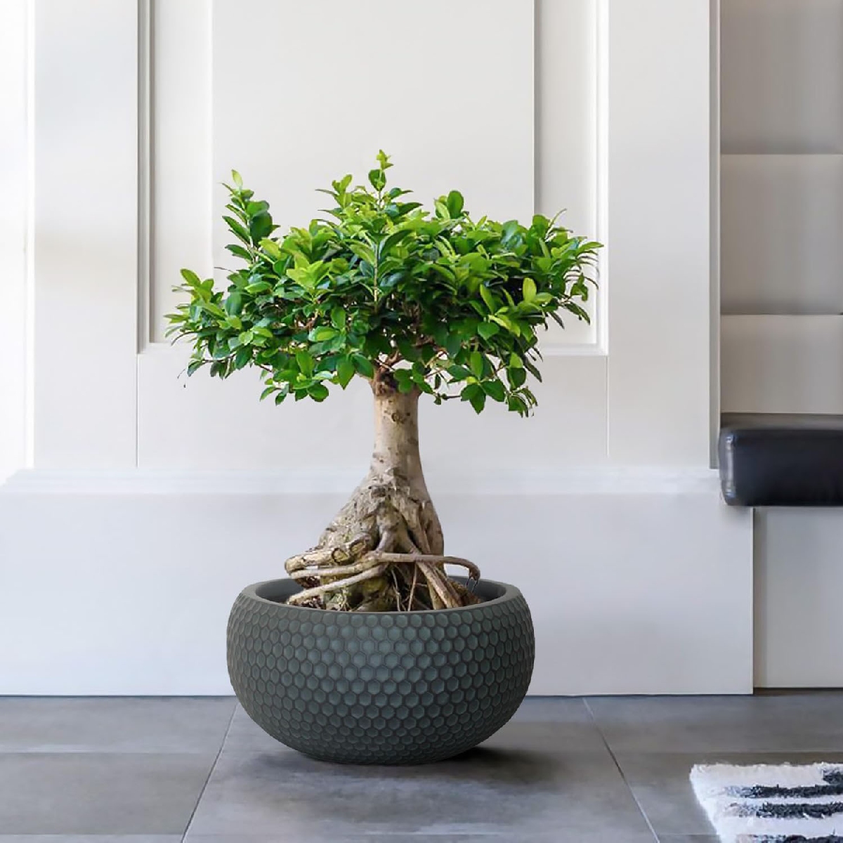 IDEALIST Lite Honeycomb Style Bowl Outdoor Planter