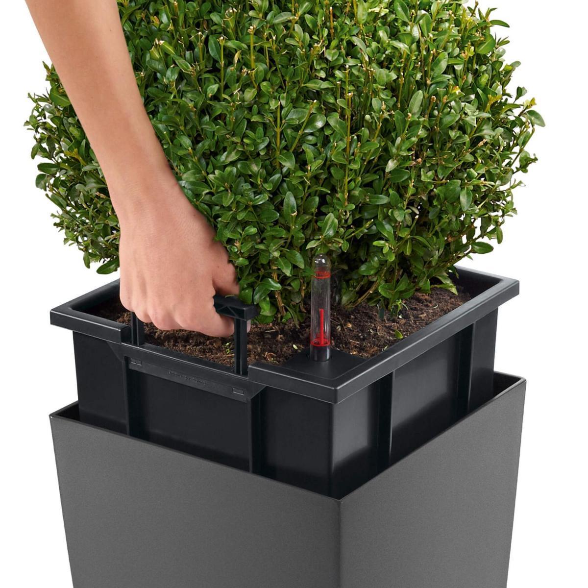 LECHUZA CUBICO Color Square Tall Poly Resin Self-watering Planter Set