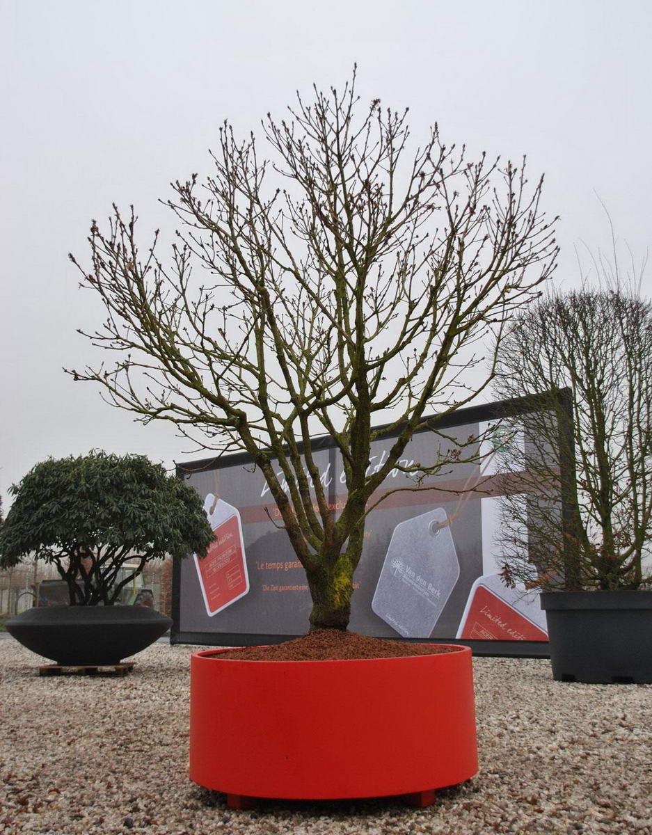 Sydney Outdoor Aluminum Round Planter