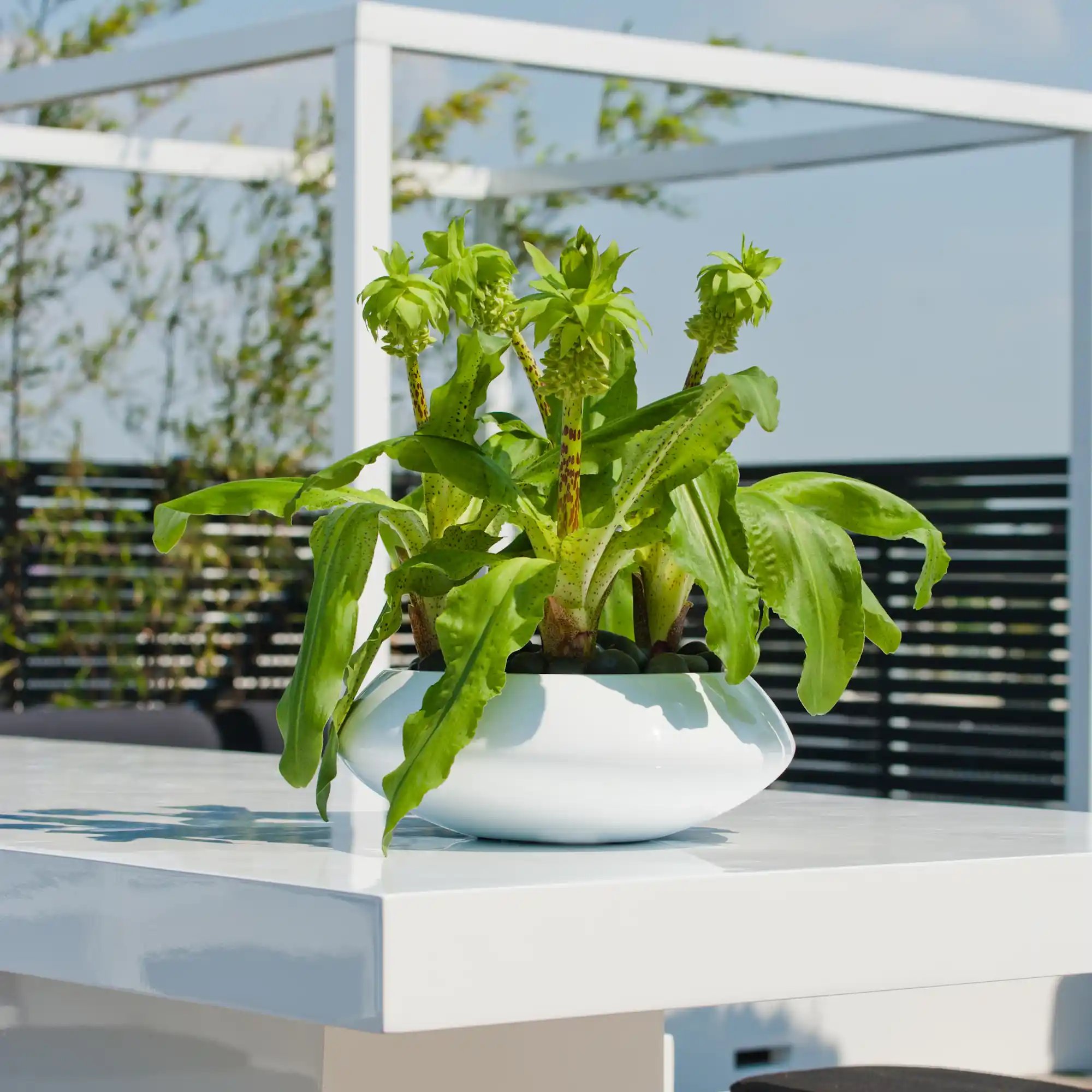 Fibrestone Tara Round Planter by Idealist Premium