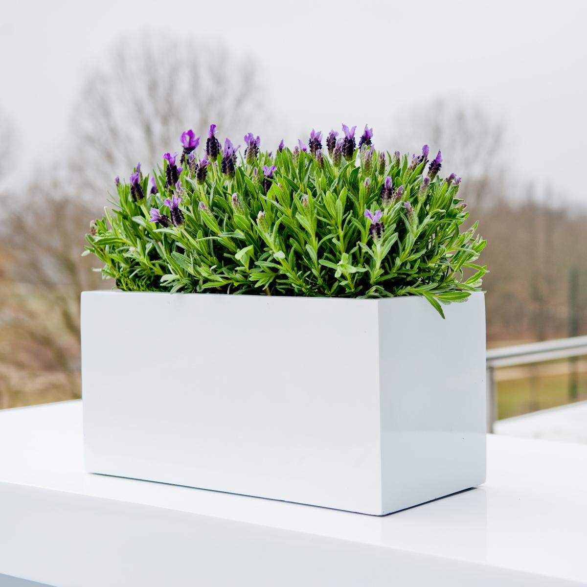 WINDOW BOX Fiberstone Planter by Idealist Premium Balcony Glossy WINDOW BOX Fiberstone Planter by Idealist Premium Balcony Glossy