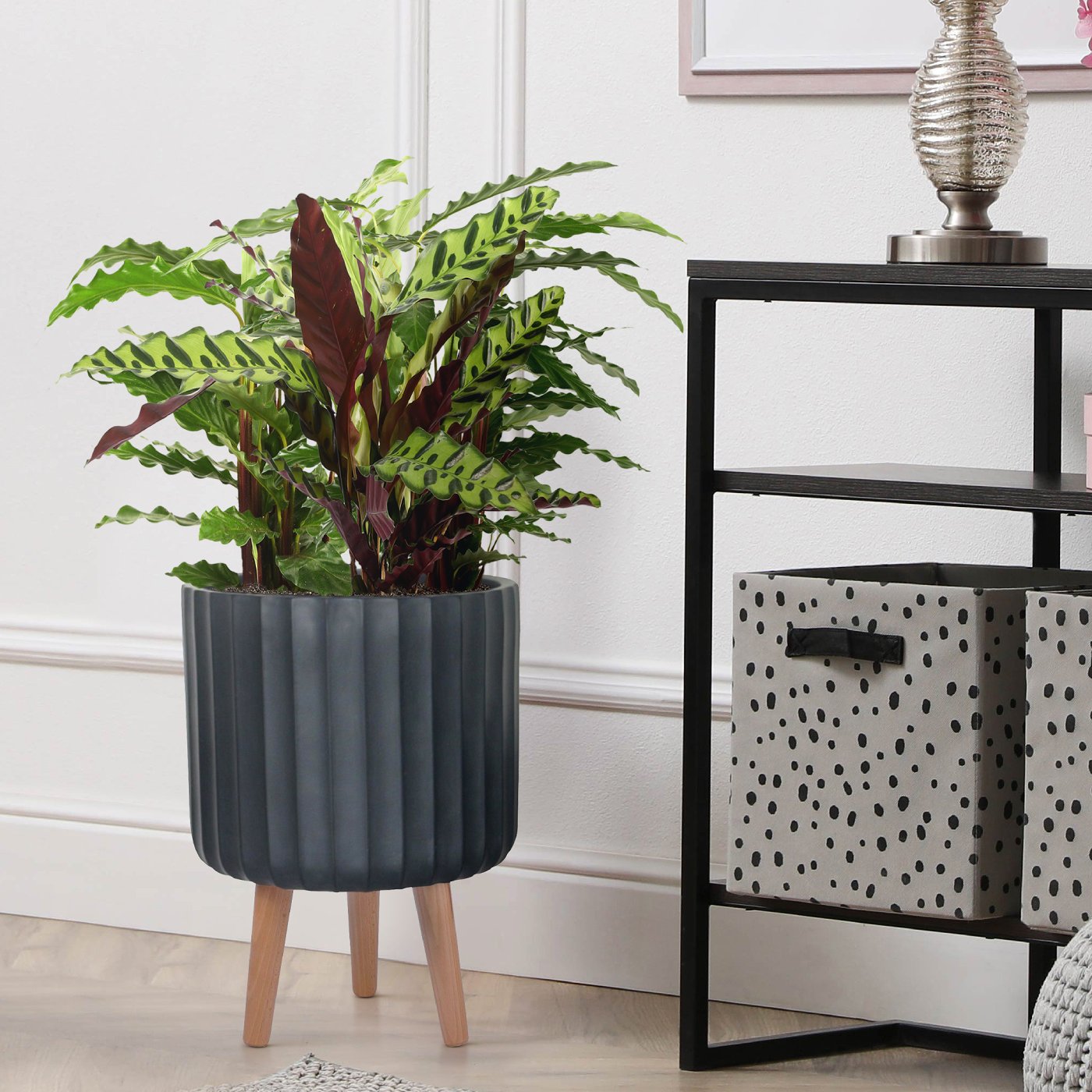 IDEALIST Lite Modern Ribbed Cylinder Planter on Legs, Round Pot Plant Stand Indoor