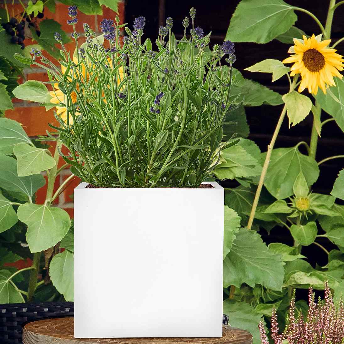 IDEALIST Lite Square Box Contemporary Light Concrete Planter