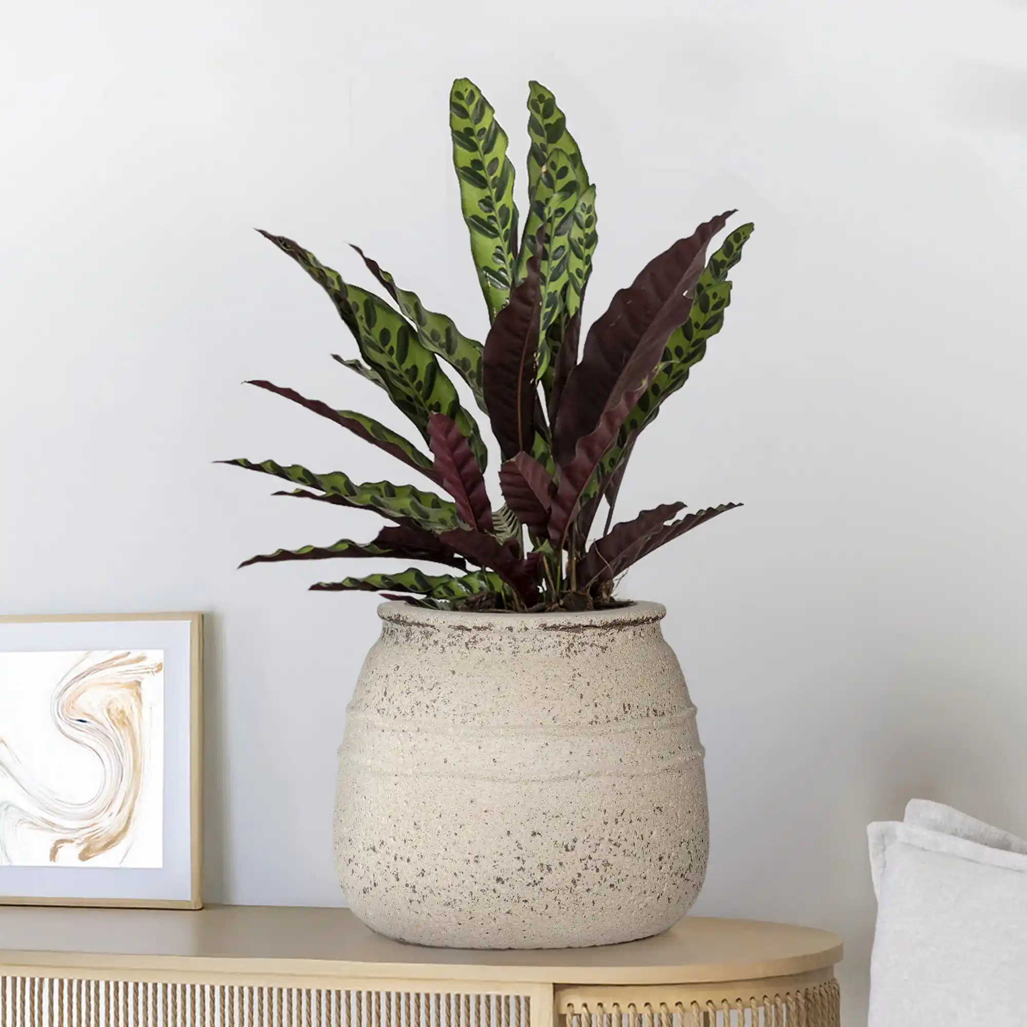 Round Ficonstone Hestia Vase Planter by Idealist Premium