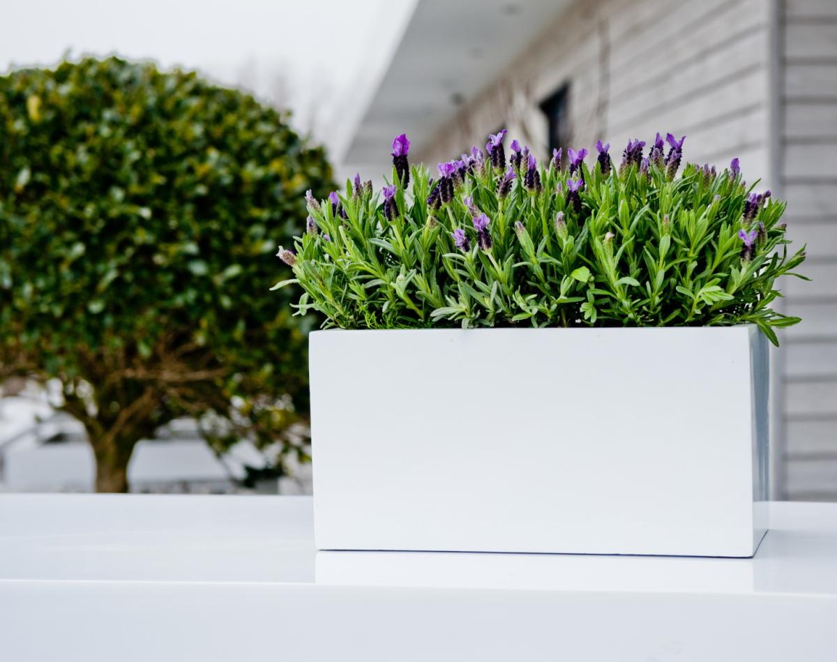 WINDOW BOX Fiberstone Planter by Idealist Premium Balcony Glossy