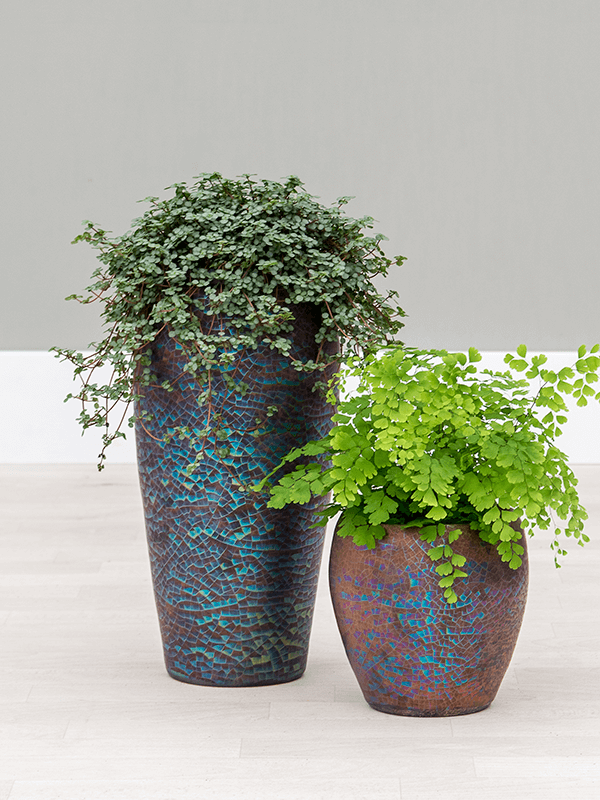 Amora Couple Glazed Clay Round Planter