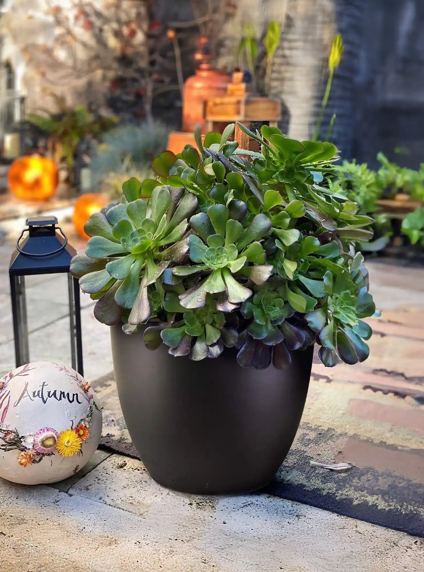 IDEALIST Lite Contemporary Light Concrete Egg Planter