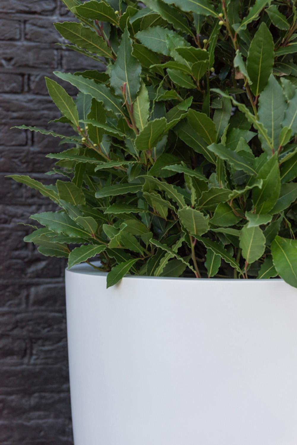 Fibrestone Ben Tall Planter by Idealist Premium