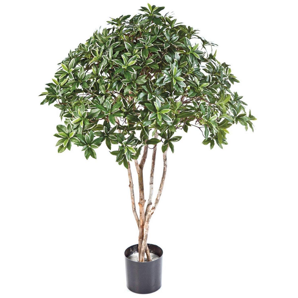EUONYMUS JAPONICUS Artificial Tree Plant