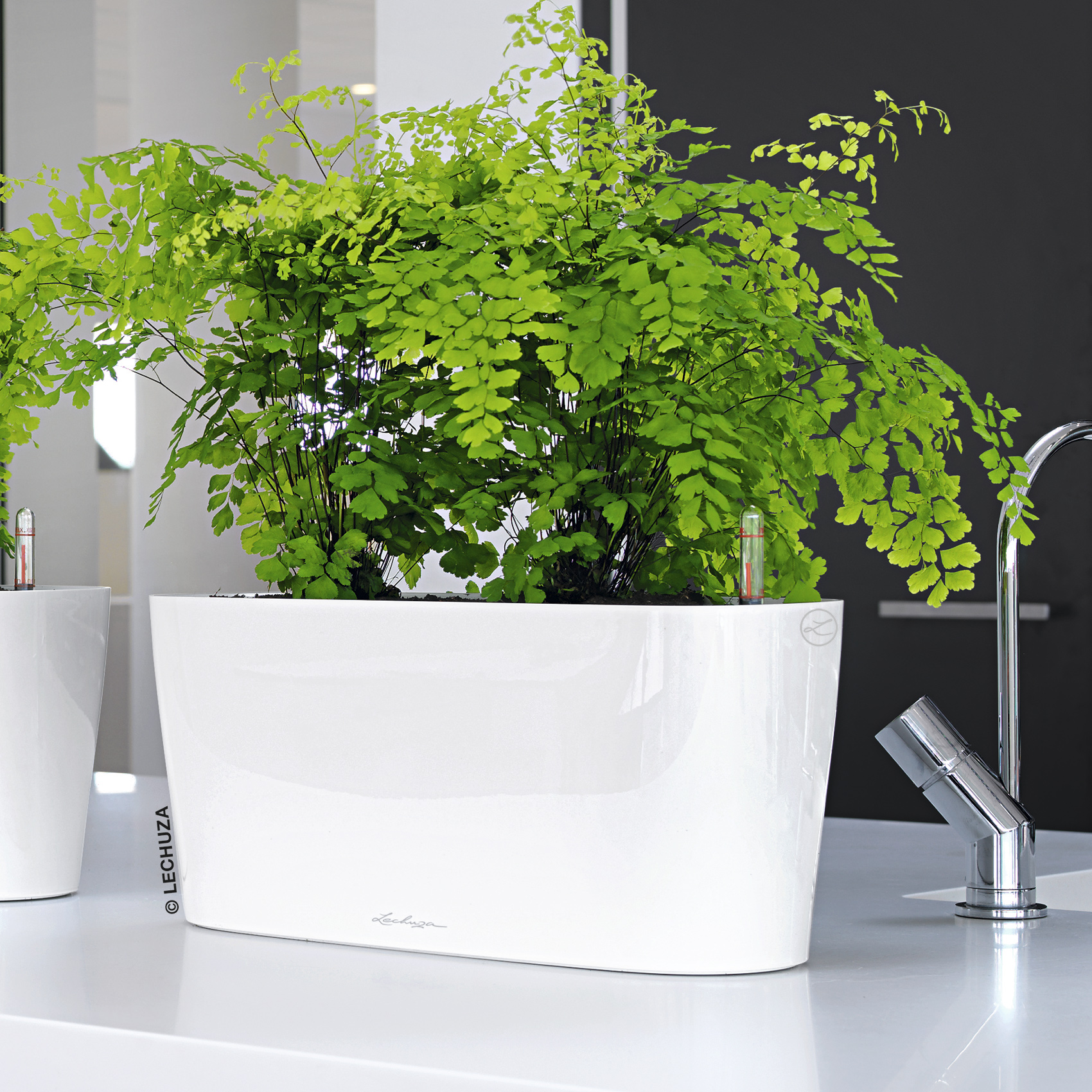 LECHUZA DELTA 10|DELTA 20 Poly Resin Indoor Self-watering Planter
