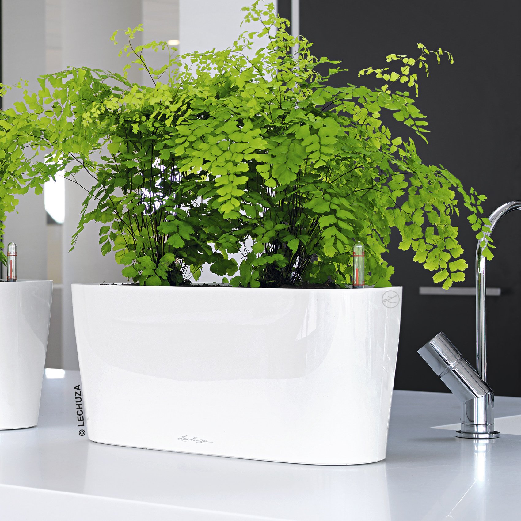 LECHUZA DELTA 10|DELTA 20 Poly Resin Indoor Self-watering Planter