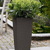 Getpotted.com Guide to Choosing Tall Planters