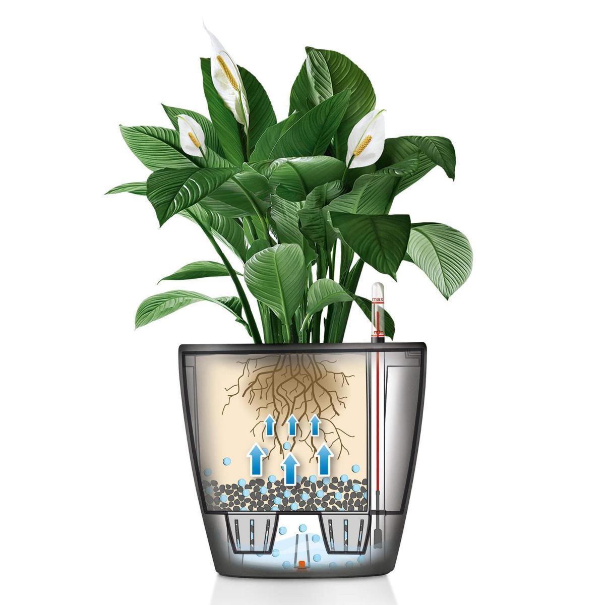 LECHUZA CLASSICO LS Round Poly Resin Self-watering Planter Set