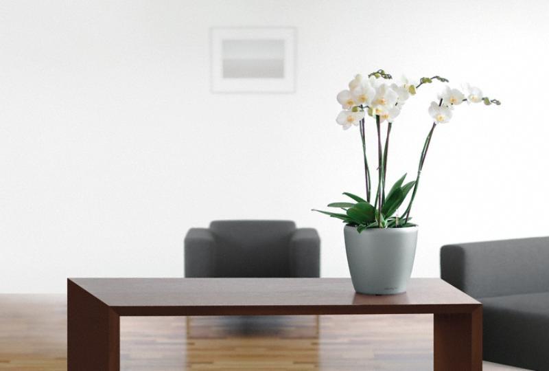 LECHUZA CLASSICO LS Round Poly Resin Self-watering Planter