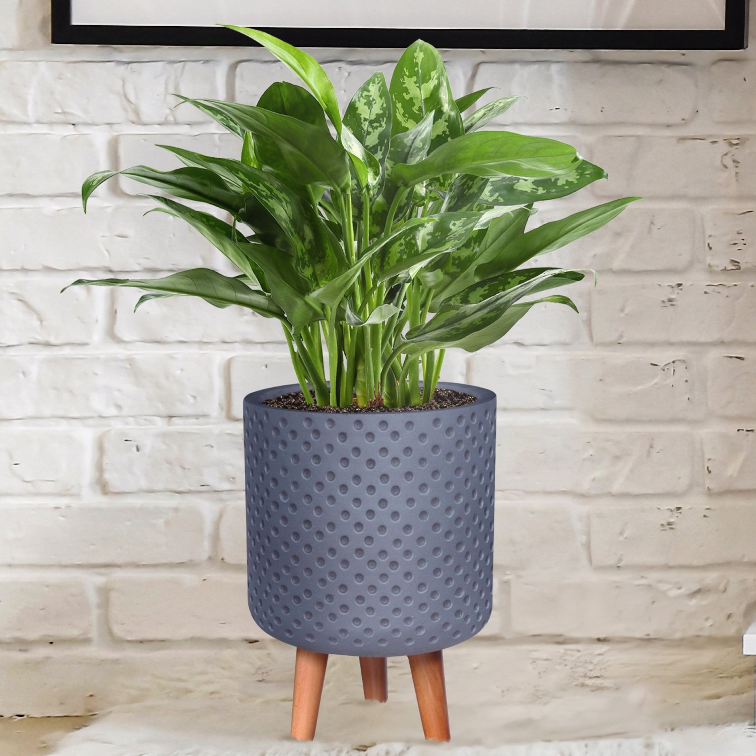 IDEALIST Lite Dotted Style Planter on Legs, Round Plant Pot Indoor