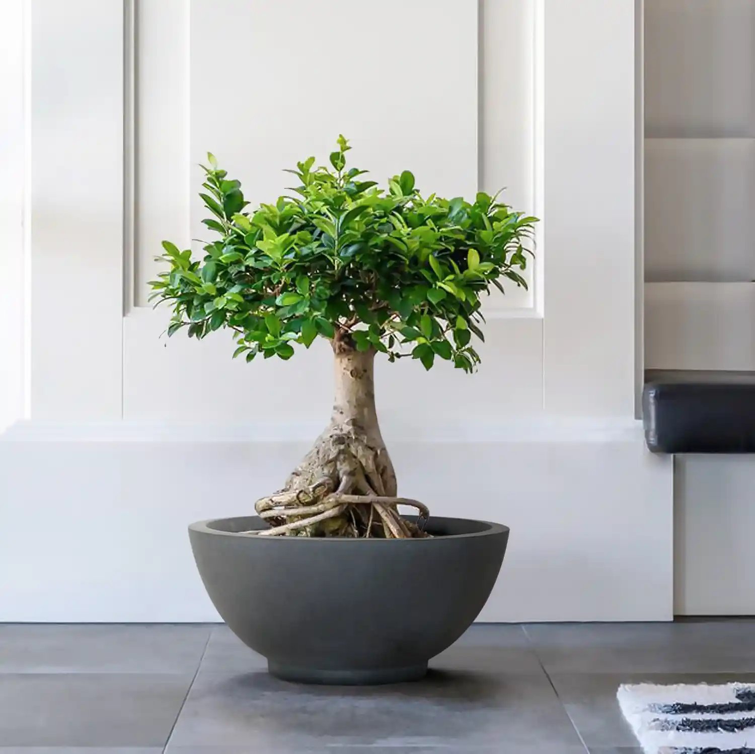 IDEALIST Lite Dish Style Smooth Bowl Outdoor Planter