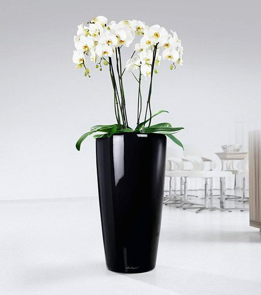 LECHUZA Rondo Round Tall Poly Resin Self-watering Planter
