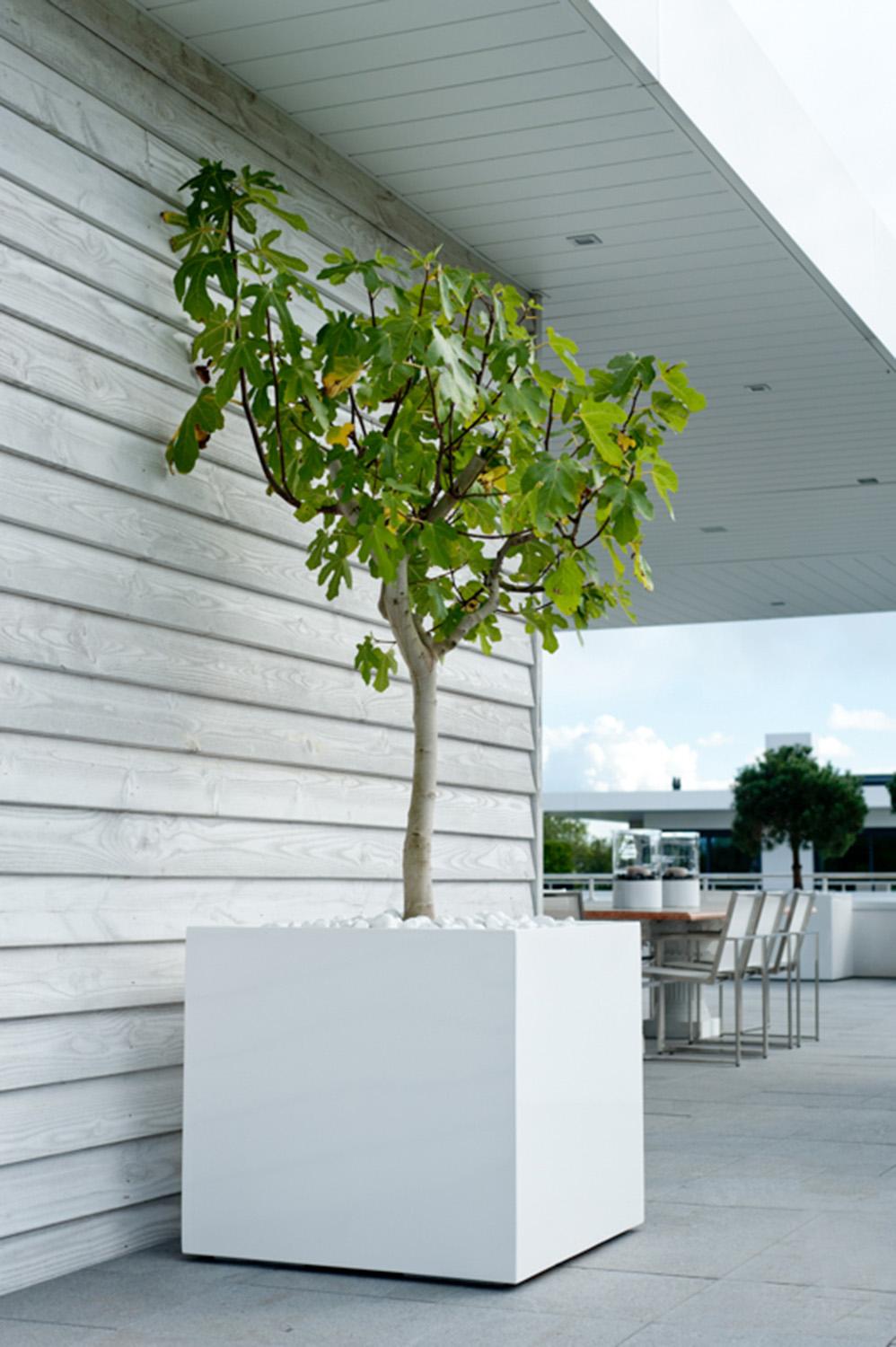 Square Fiberstone Planter by Idealist Premium BLOCK Glossy