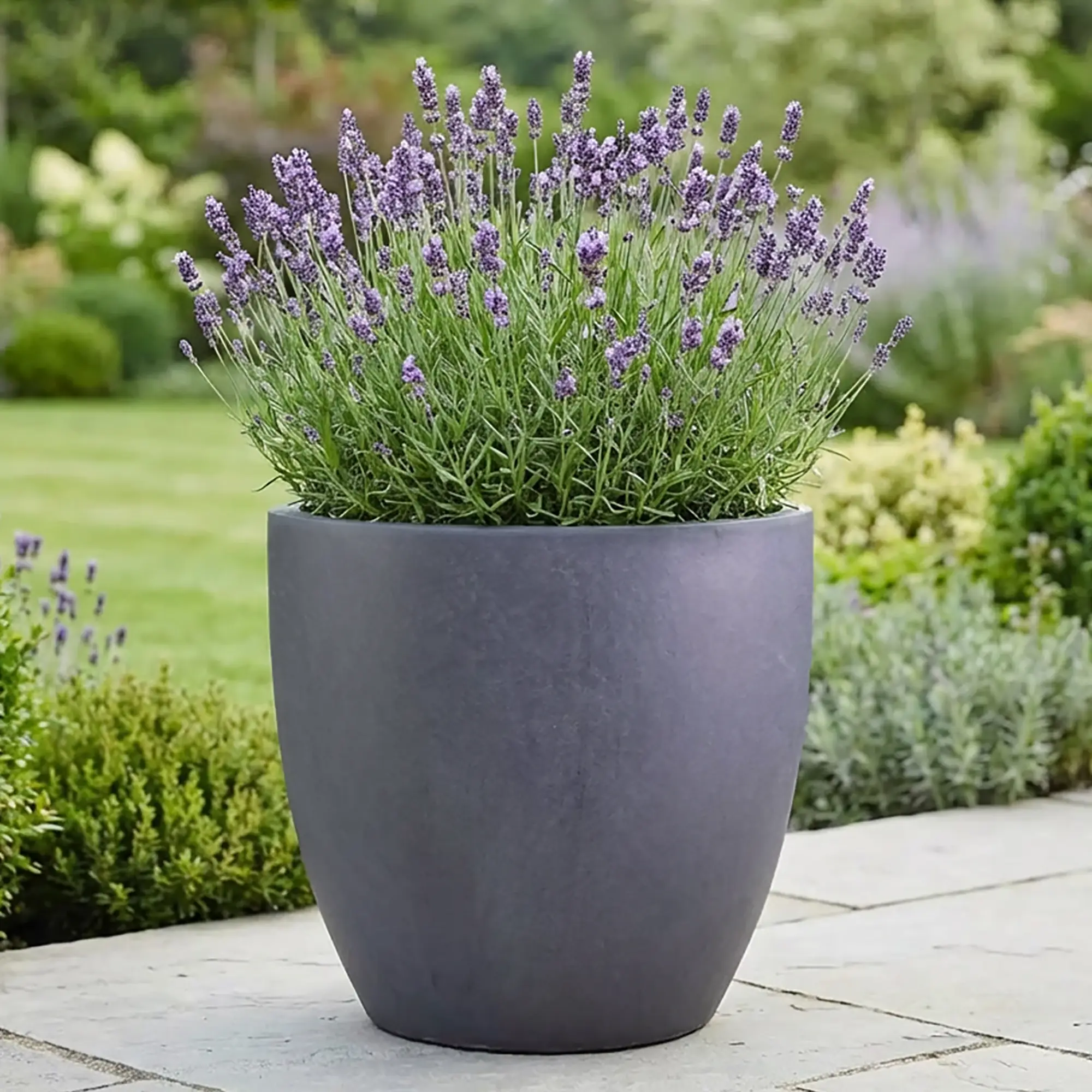 IDEALIST Lite Contemporary Light Concrete Egg Planter