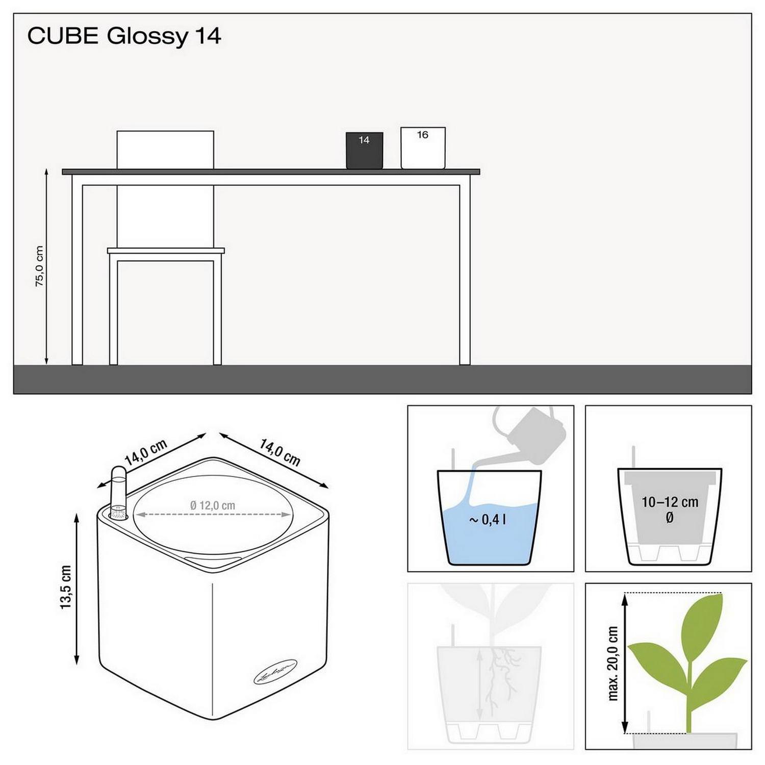 LECHUZA CUBE Glossy Cat Square Poly Resin Indoor Self-watering Planter