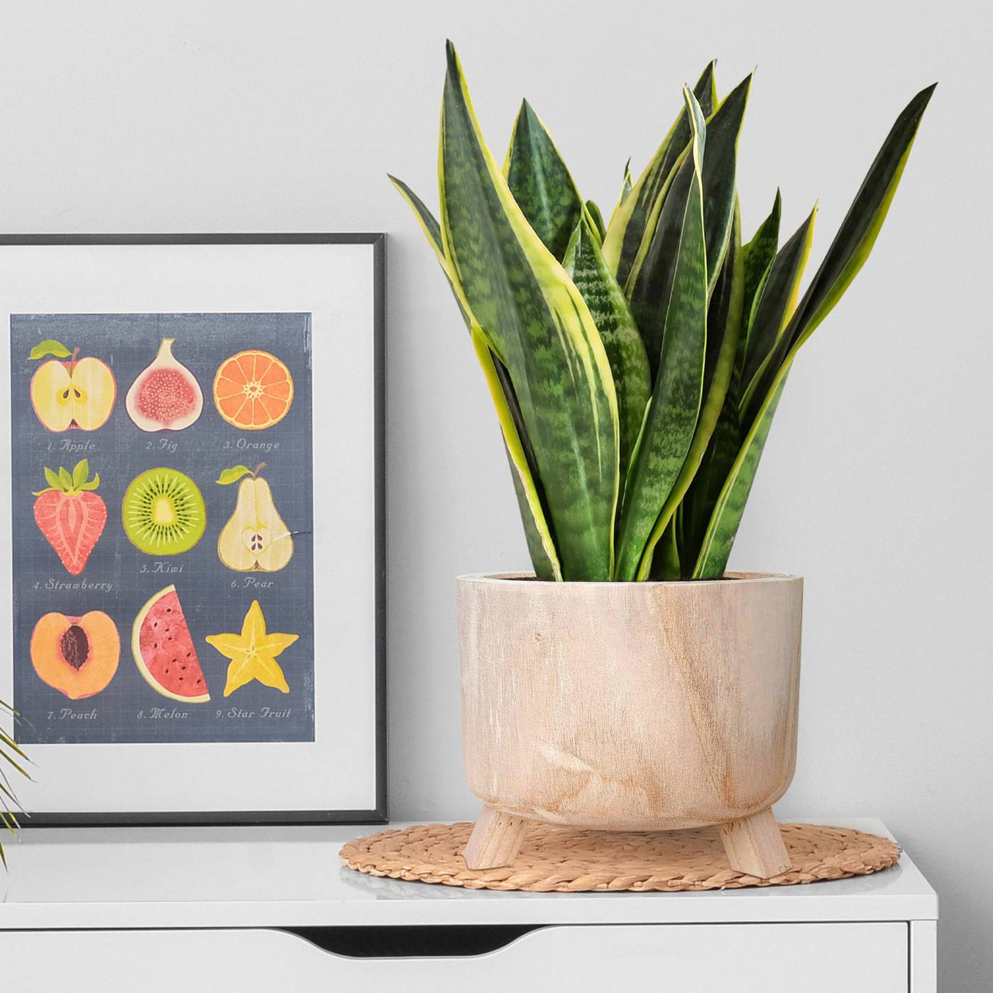 HORTICO GROWER Wooden House Planter with Legs, Indoor Plant Pot Stand with Waterproof Liner