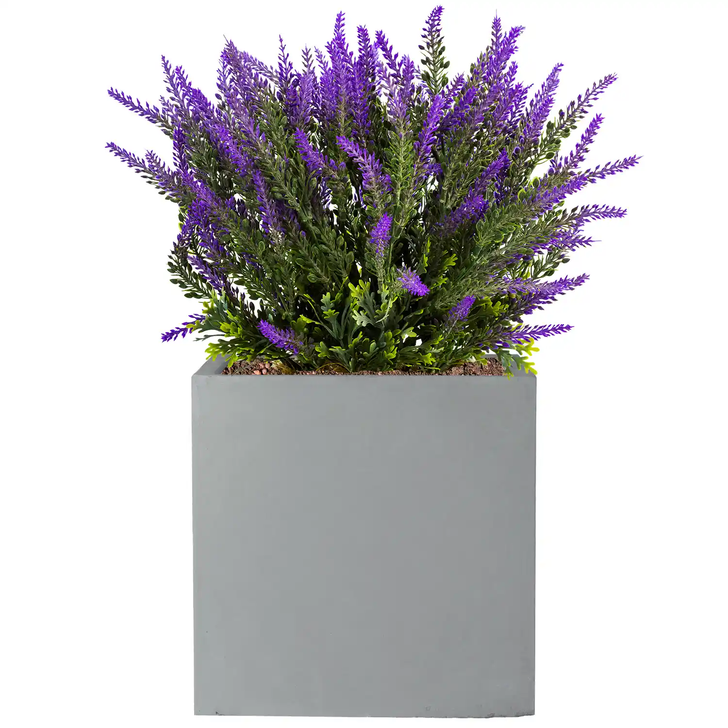 IDEALIST Lite Square Box Contemporary Light Concrete Planter