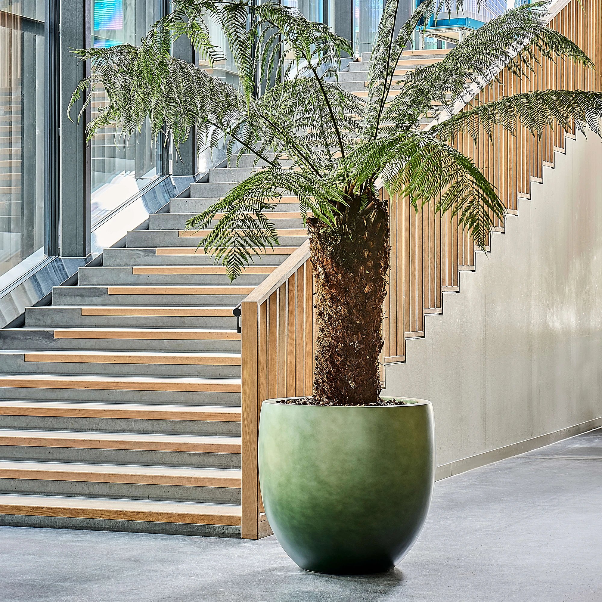 Gradient Large Egg Planter | Polyresin Indoor Plant Pot