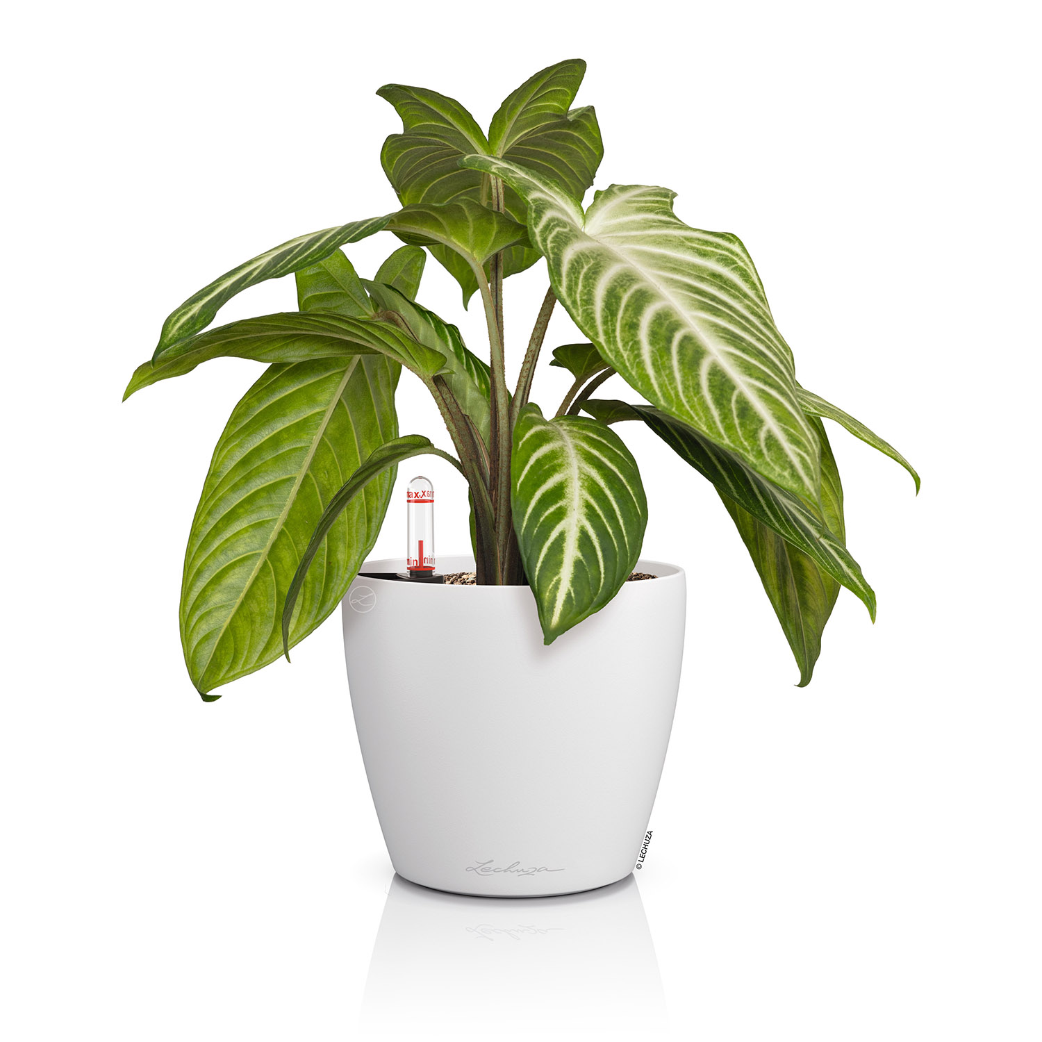 LECHUZA CLASSICO Color Round Poly Resin Self-watering Planter