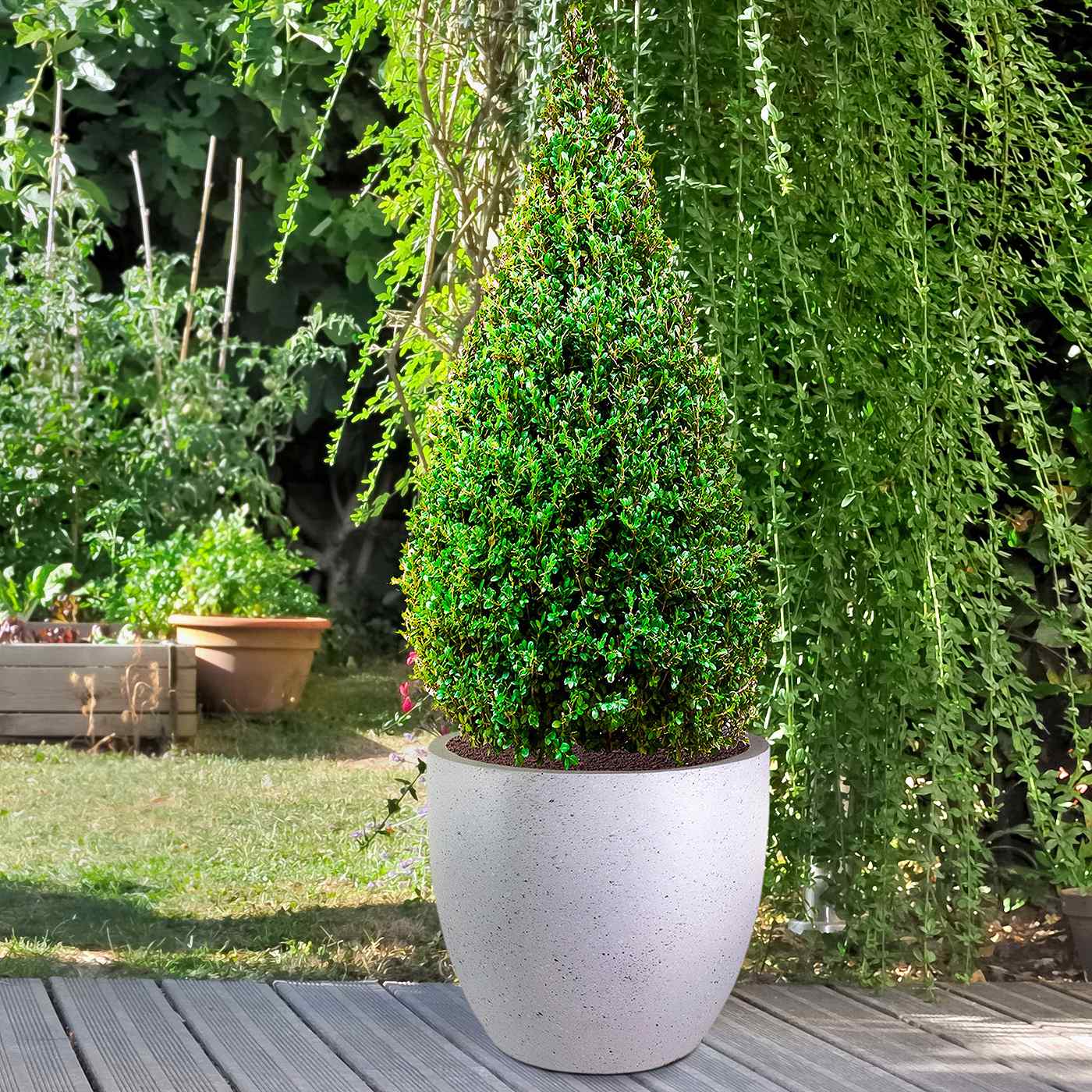 IDEALIST Lite Contemporary Light Concrete Egg Planter