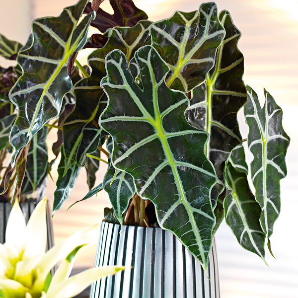Lines Round Tall Polystone Indoor Planter