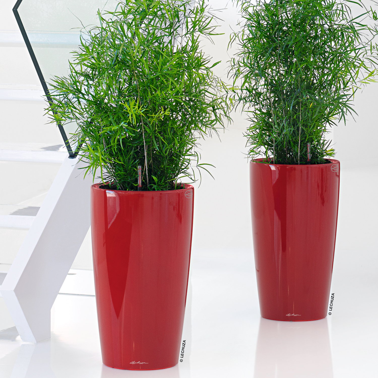 LECHUZA Rondo Round Tall Poly Resin Self-watering Planter
