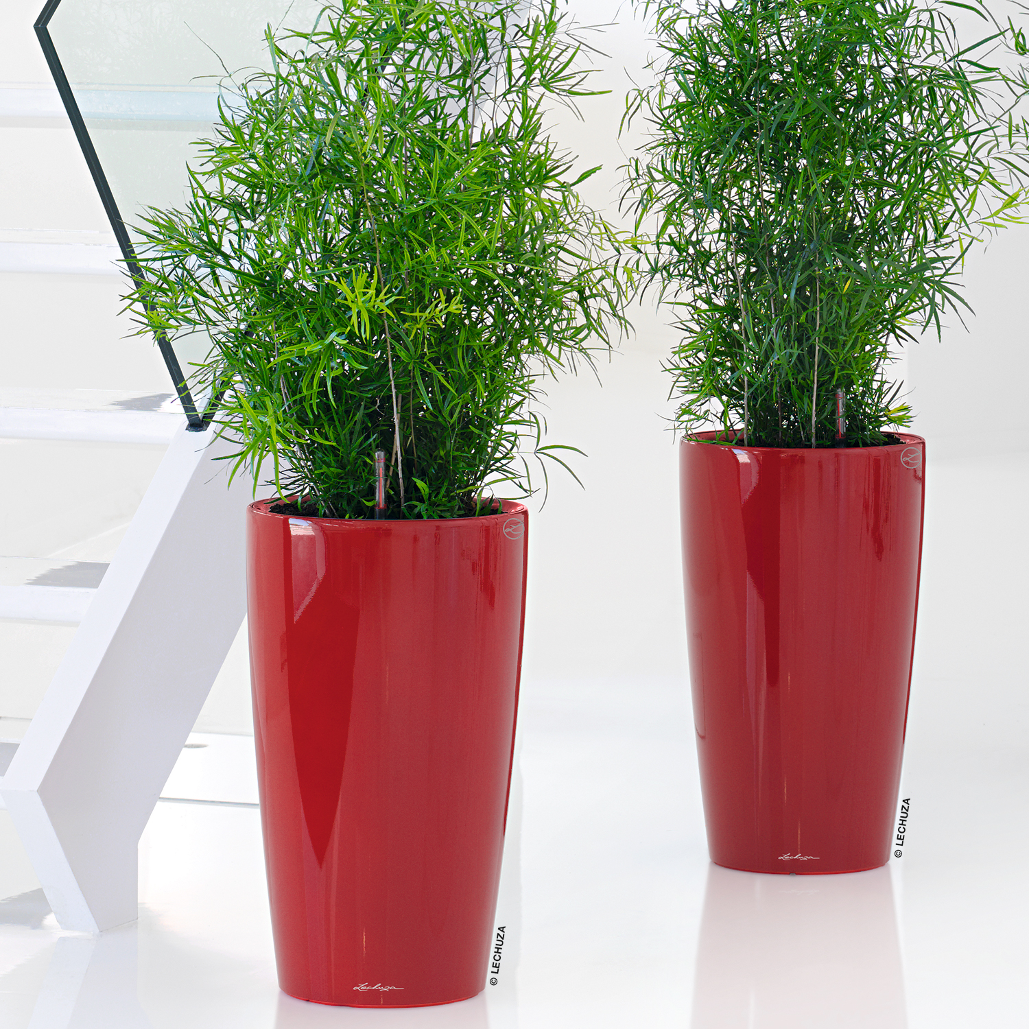 LECHUZA Rondo Round Tall Poly Resin Self-watering Planter