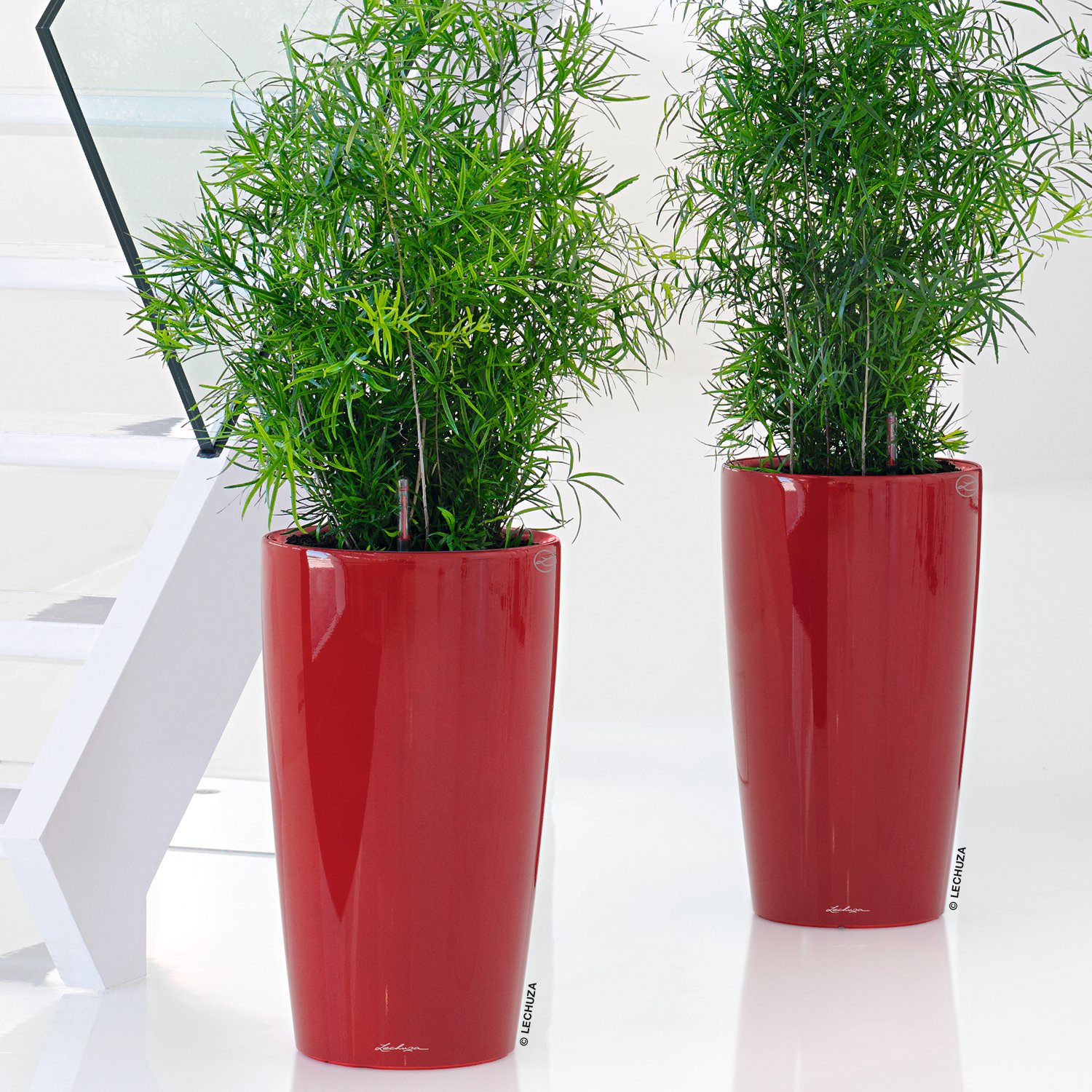 LECHUZA Rondo Round Tall Poly Resin Self-watering Planter