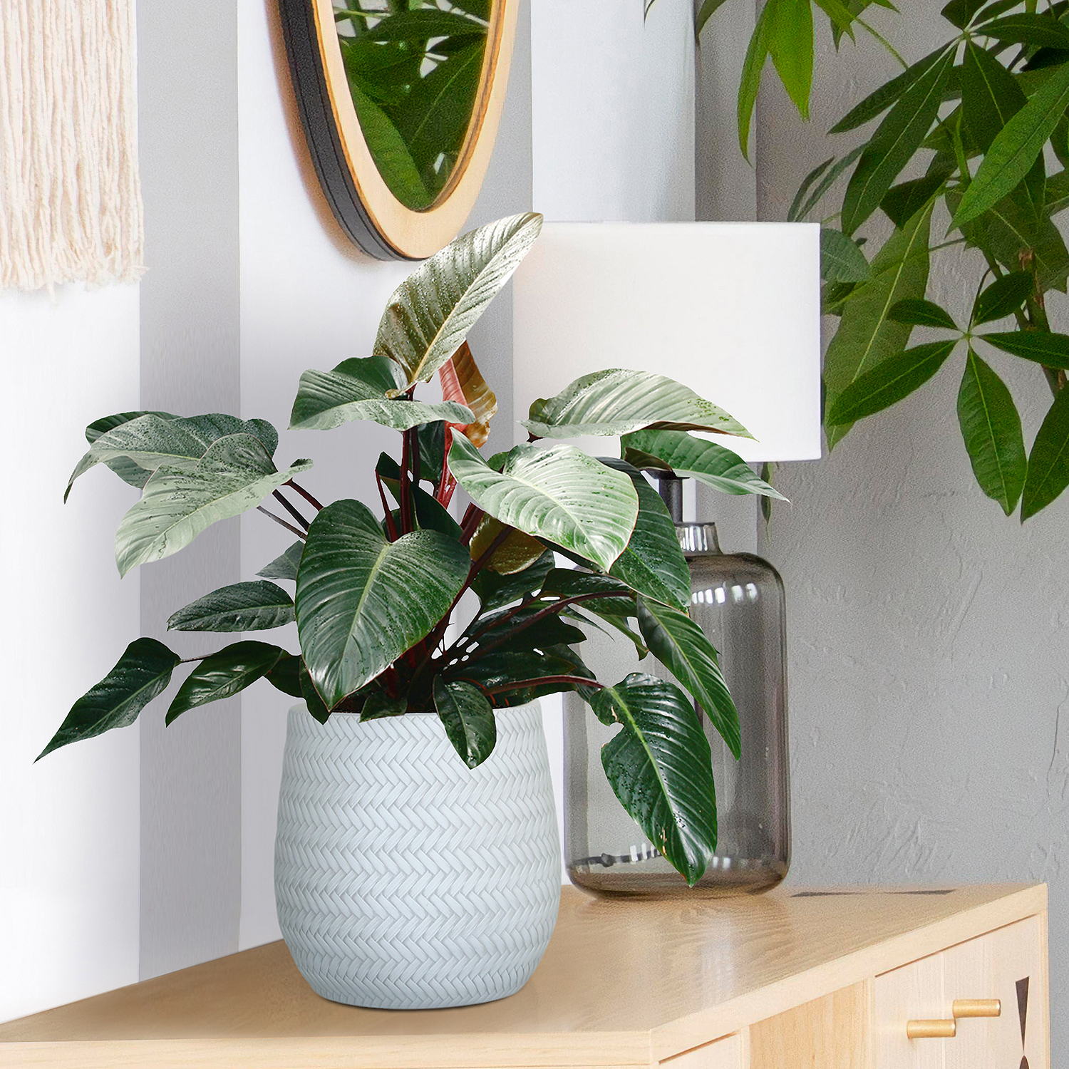 IDEALIST Lite Plaited Style Table and Hanging Plant Pot Dual Use Indoor Egg Planter