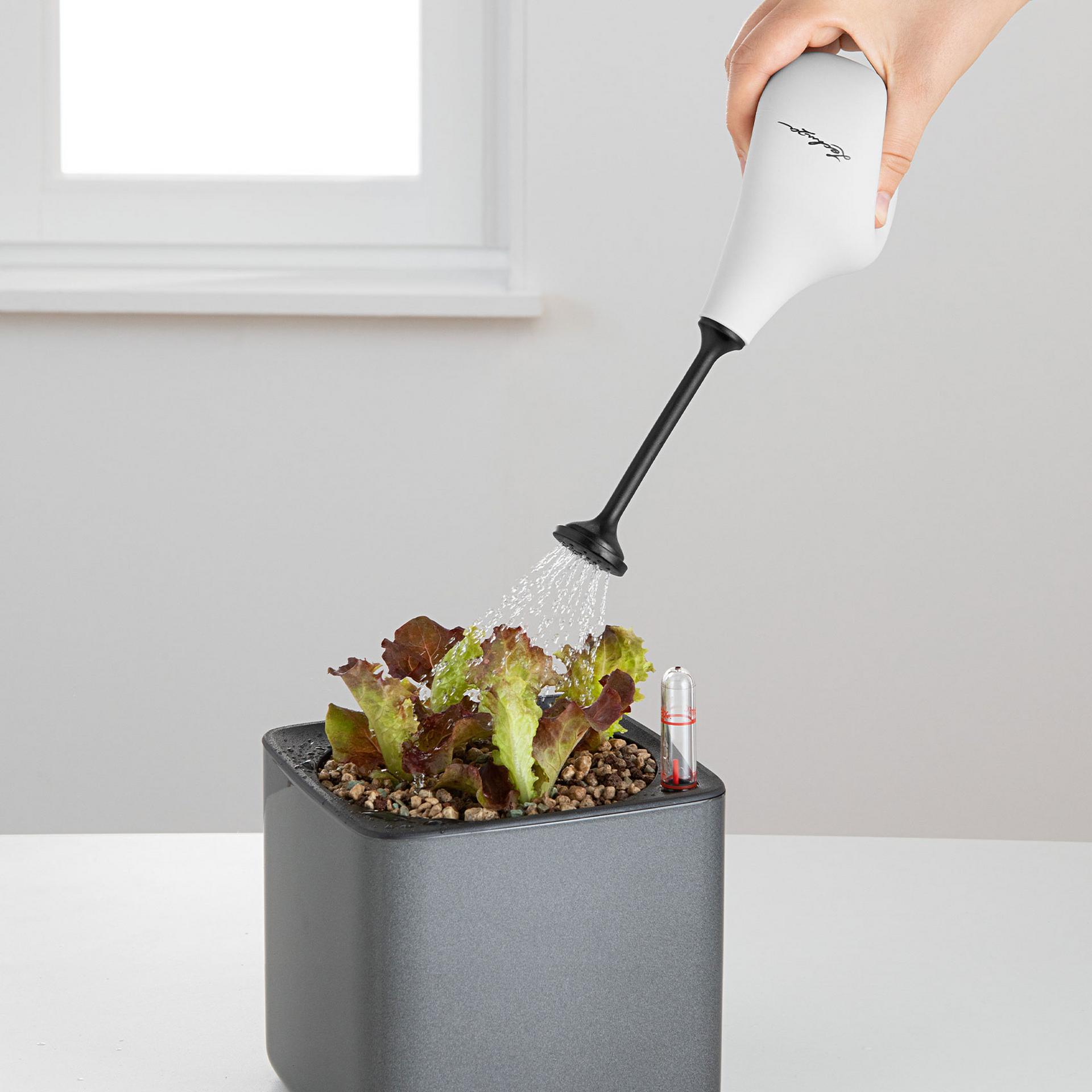 LECHUZA Flower Shower Ball Sprinkler