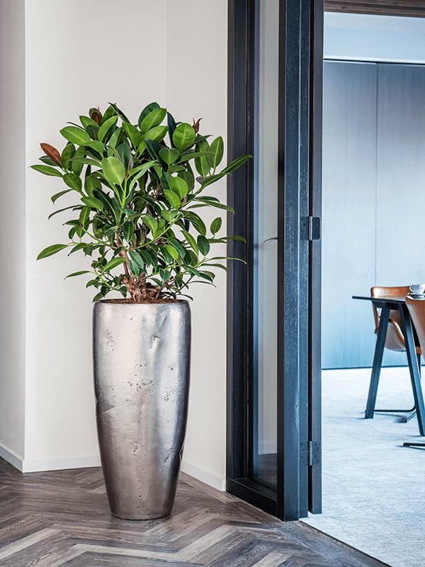 Opus Partner Round Tall Raw Gold D31 H65 cm Planter (+ liner)