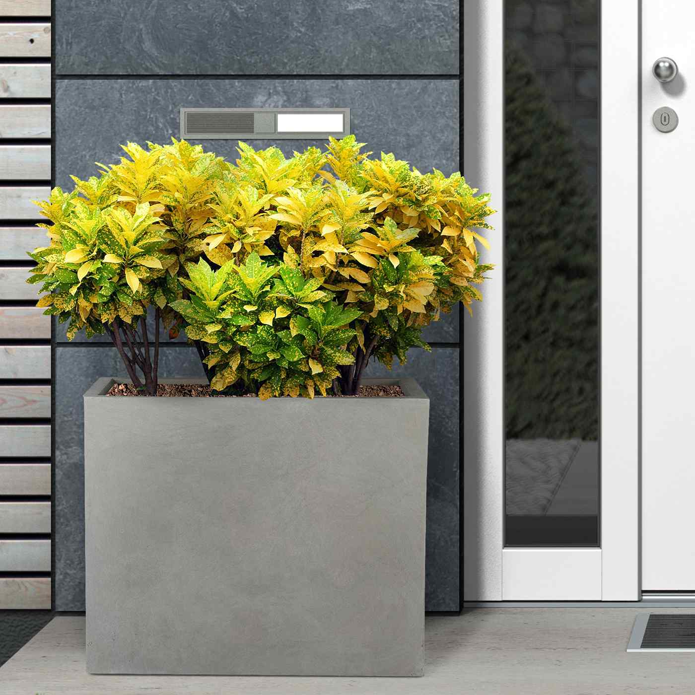 IDEALIST Lite Contemporary Light Concrete Trough Planter