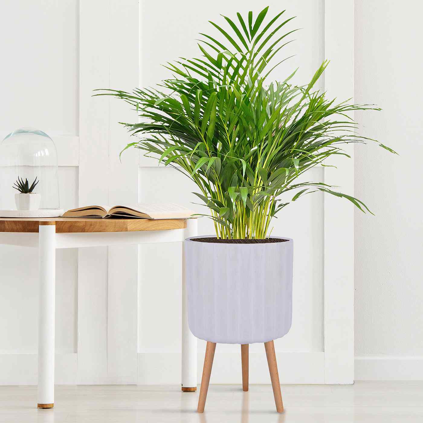 IDEALIST Lite Modern Ribbed Cylinder Planter on Legs, Round Pot Plant Stand Indoor