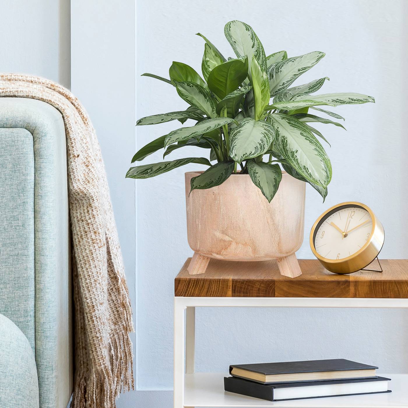 HORTICO GROWER Wooden House Planter with Legs, Indoor Plant Pot Stand with Waterproof Liner