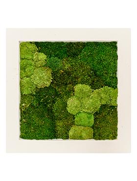 Moss Painting Natural Square