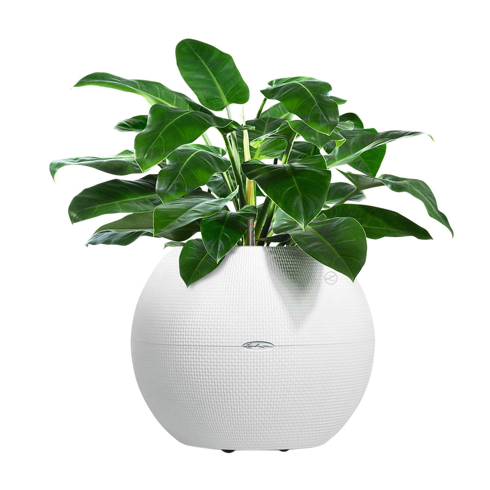 LECHUZA PURO Color Round Poly Resin Self-watering Planter