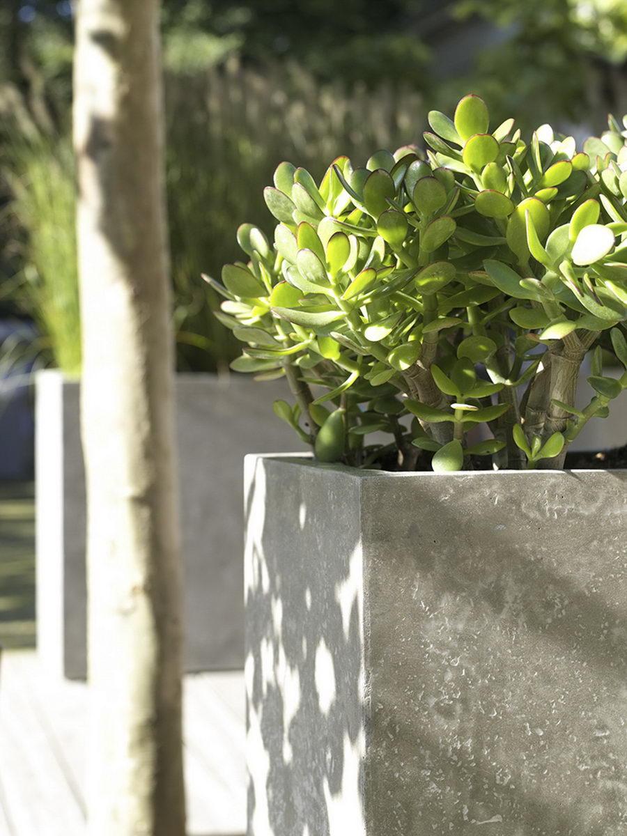 Square Concrete GRC Planter by Fleur Ami DIVISION