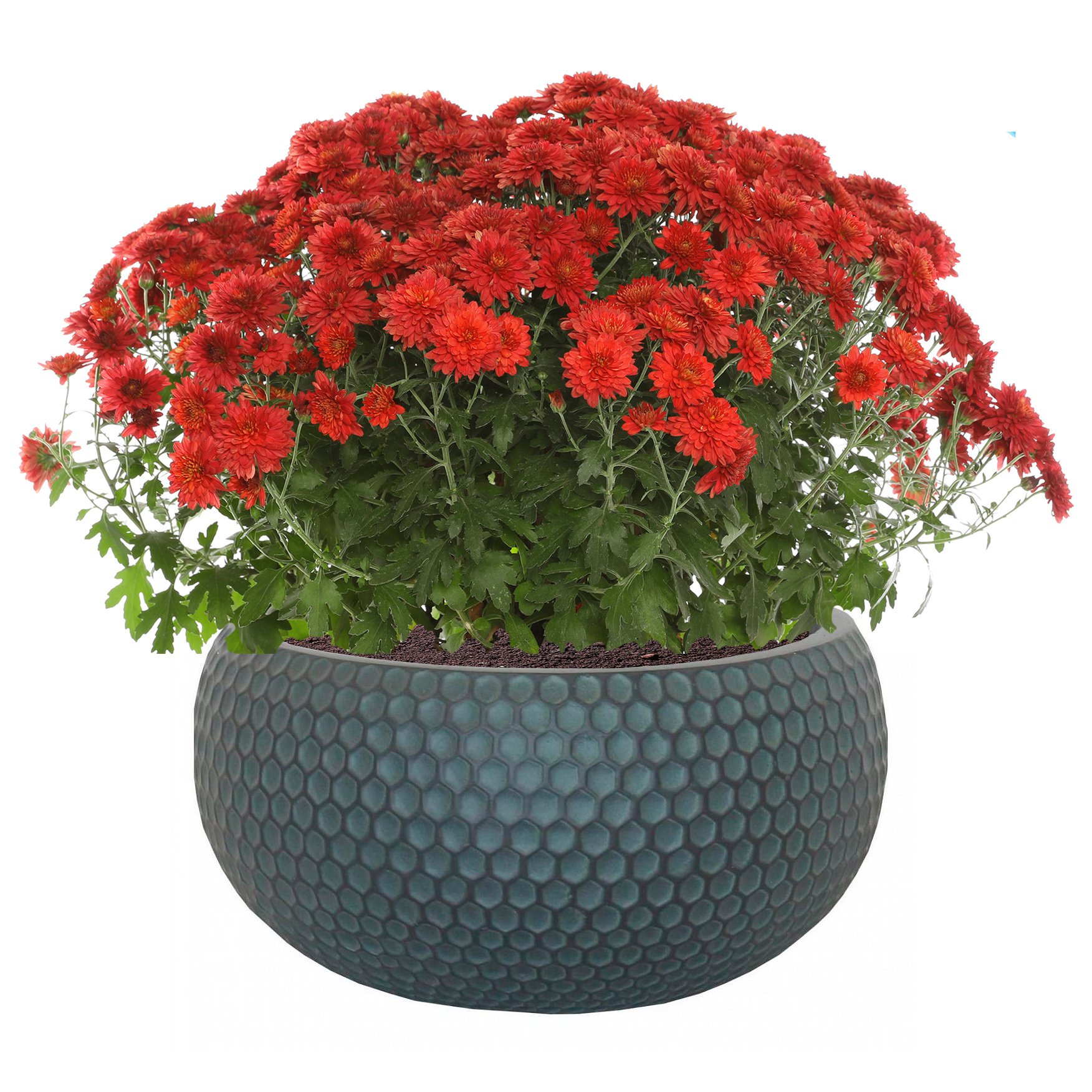 IDEALIST Lite Honeycomb Style Bowl Outdoor Planter